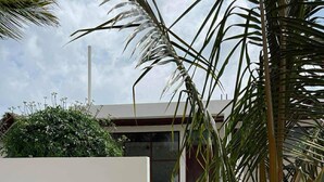 Ein modernes Gebäude mit weißer Fassade, einem Kiesweg, der zu einer Glastür führt, und verschiedenen Pflanzen, darunter eine Palme und Kakteen.