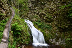 A waterfall cascading down a rocky slope with a metal staircase leading up. - Modern Black Forest vacation rental for up to 5 people with an elevator. Pet-friendly! (Bad Peterstal-Griesbach)
