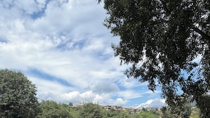 Jardín
