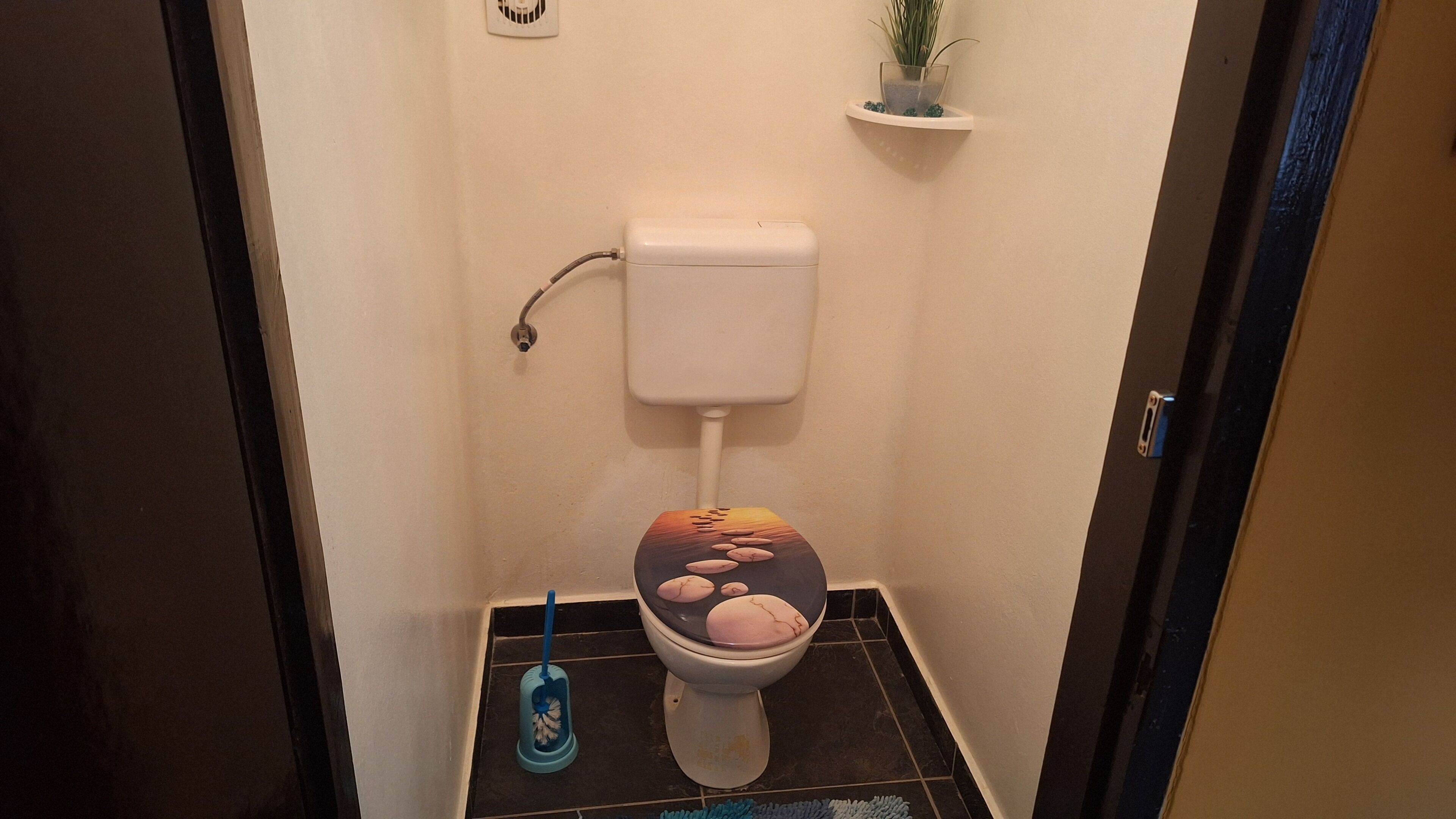 Une salle de bain équipée de toilettes, d’un sèche-mains et d’une petite étagère sur laquelle est posée une plante.