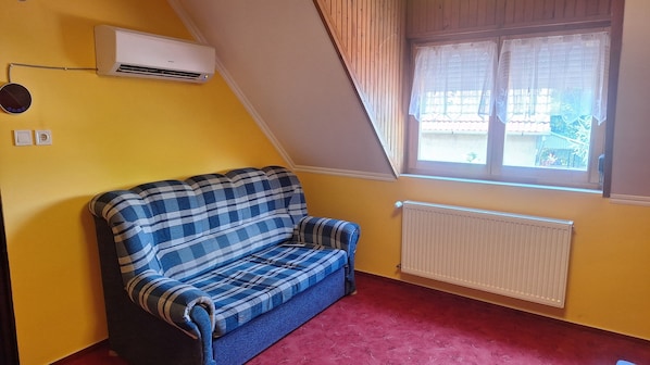 A room with a blue and white checkered sofa, a white radiator, and a window with curtains.