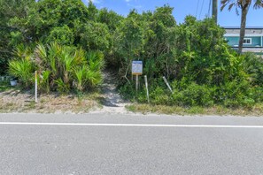 Eine Straße mit einem 'Welcome'-Schild und dichter Vegetation am Rand.
