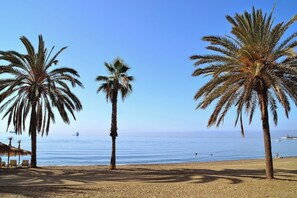 Ein Strand mit Palmen und blauem Himmel.