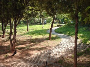 Un sendero pavimentado en un parque bordeado de árboles.