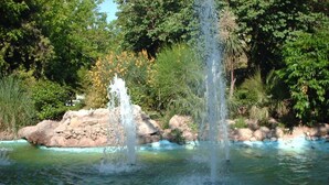 Property grounds - Athens HOME 2 (Athina)