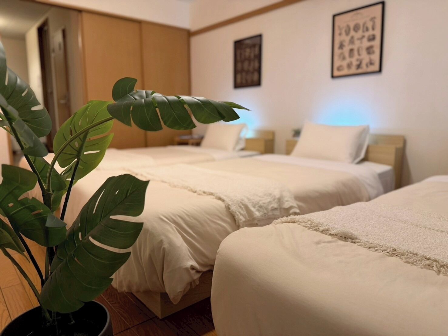 Wi-Fi de cortesia, roupa de cama