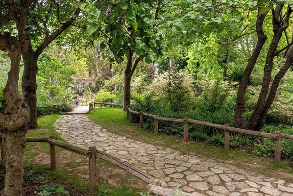 Un sendero de piedra con barandillas de madera, rodeado de abundante vegetación y árboles.