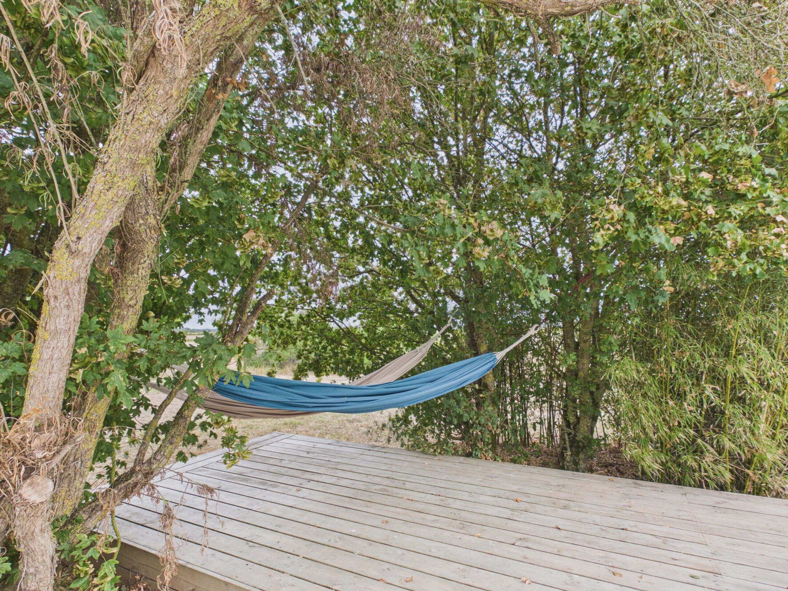 A hammock tied between trees on a wooden deck.