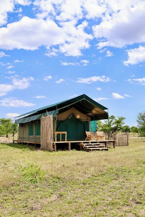 A single-story tent with a green roof, wooden furniture, and a grassy field.