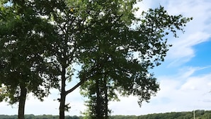 A lakeside park with picnic tables, a grassy area, and a dock extending into the water. - Guesthouse Room for 2 or 3 – Breakfast Included (Priziac)