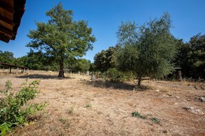 A dry, grassy field with trees and a rustic building.