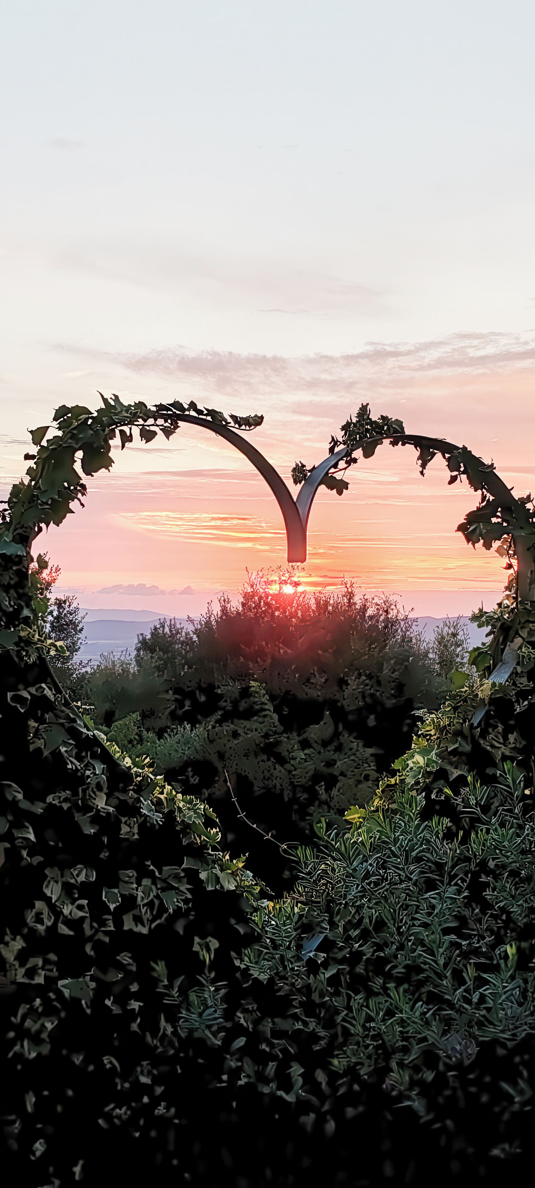 Um arco em forma de coração feito de folhagem, com um pôr do sol ao fundo.