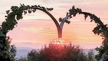 Um arco em forma de coração feito de folhagem, com um pôr do sol ao fundo.