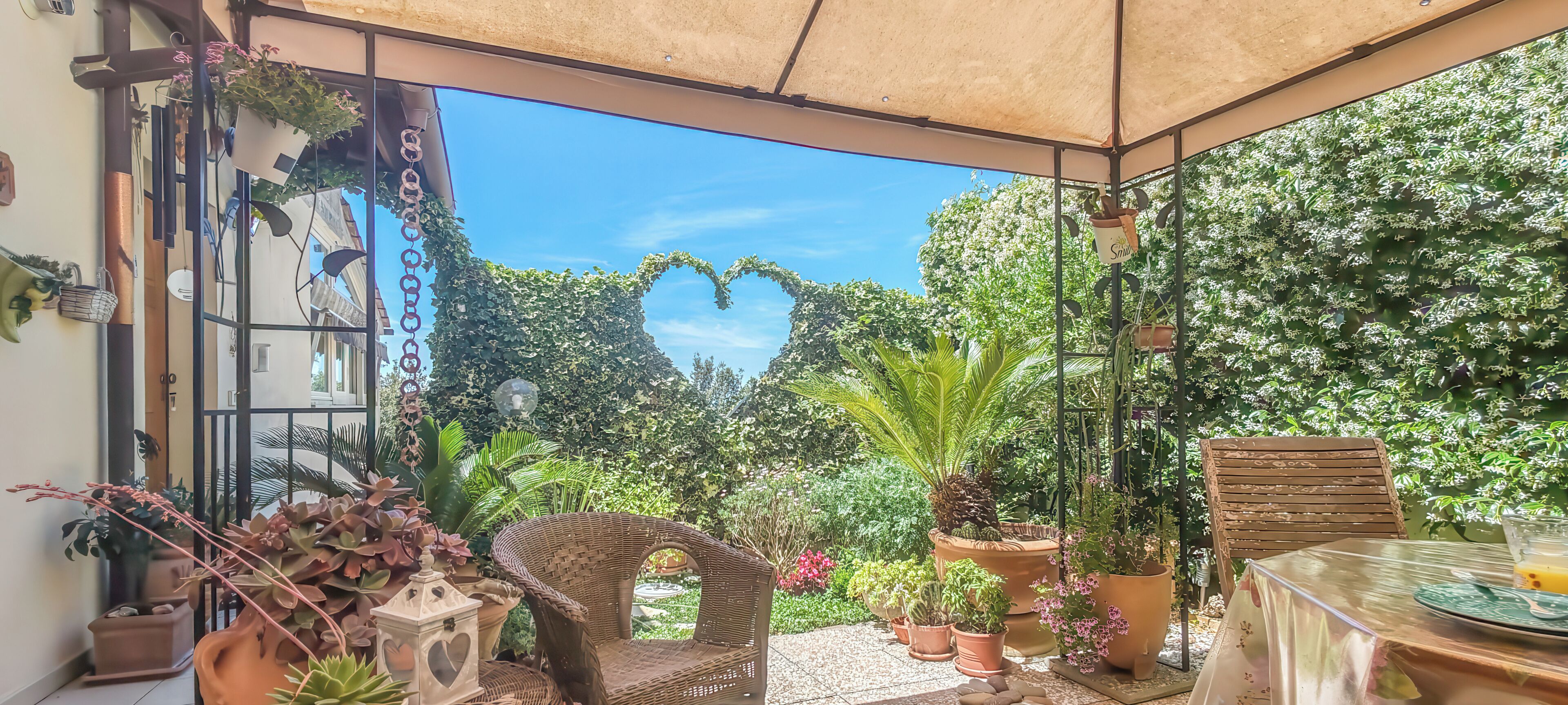 Taman