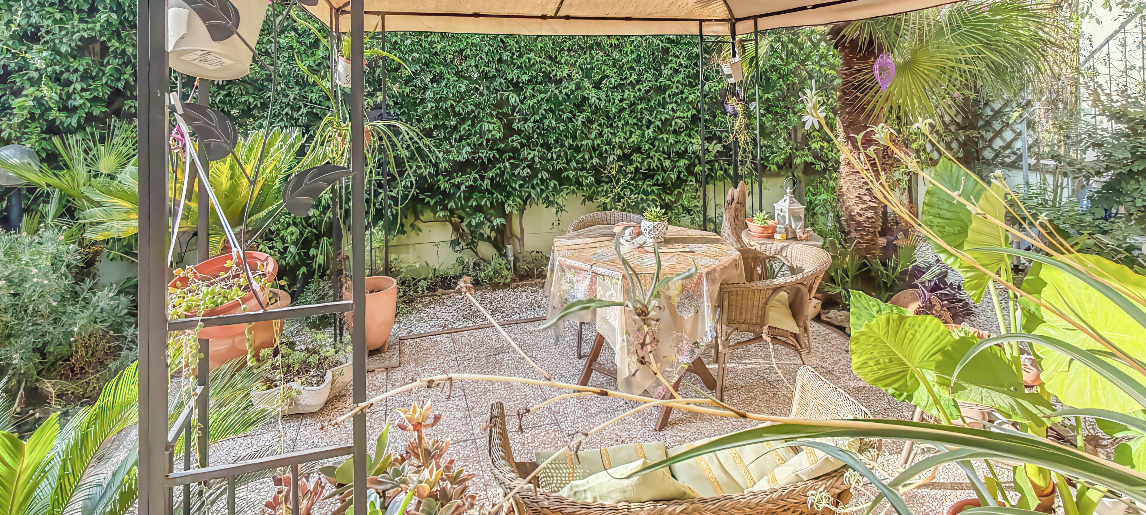 Un espacio al aire libre cubierto con una mesa y sillas, rodeado de macetas con plantas variadas y una enredadera con plantas trepadoras.