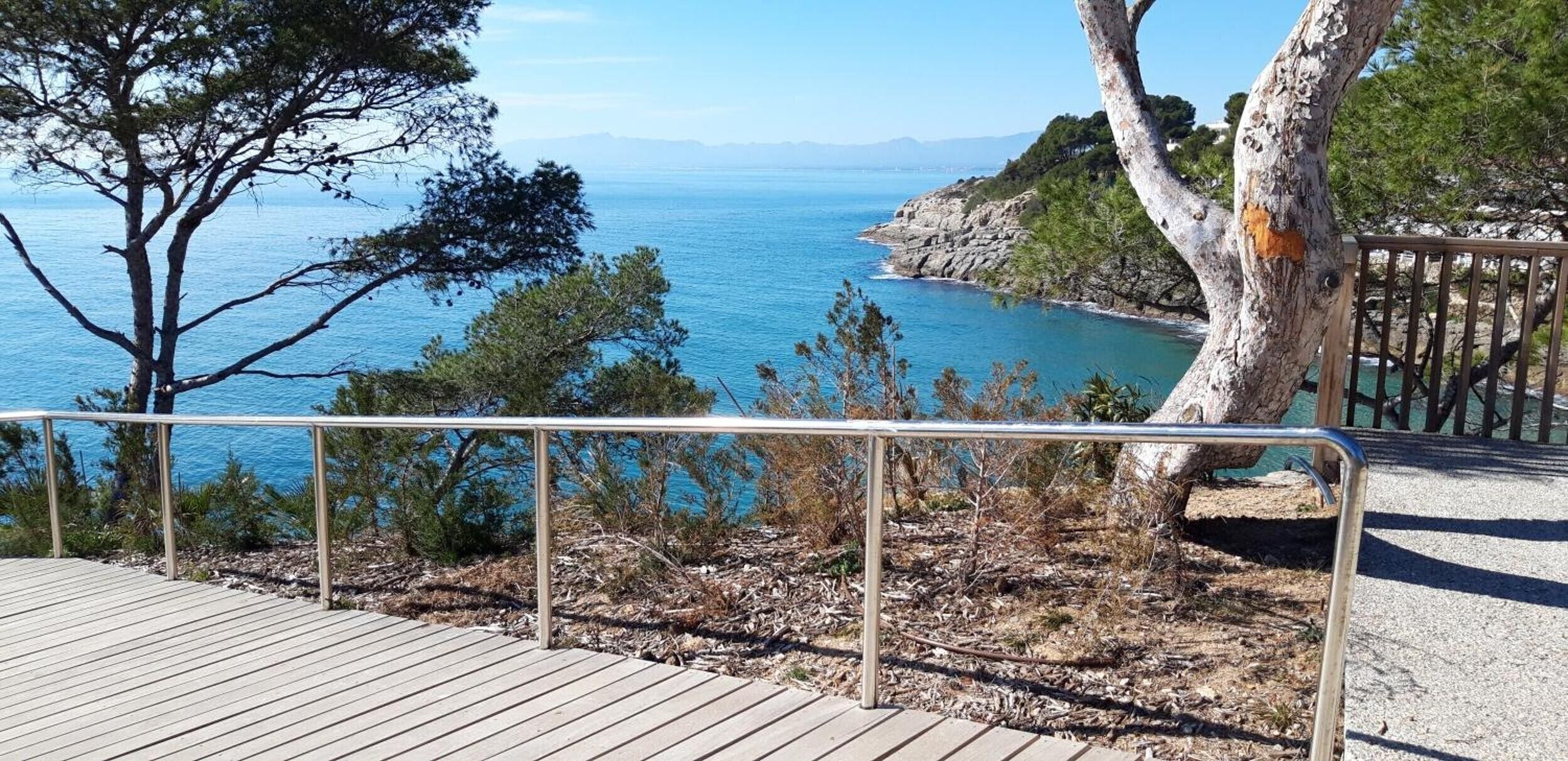 Une vue sur la côte avec une terrasse en bois, une rambarde en métal et des arbres.