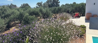 Villa Panselinos—Private Pool & Idyllic Olive Grove on the South Coast of Crete