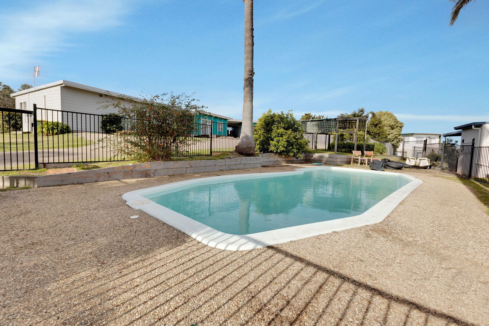 A rectangular swimming pool with a surrounding gravel area and a palm tree.