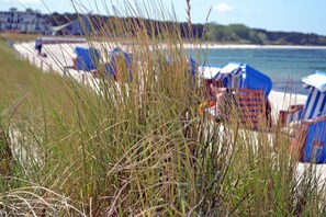 Une plage avec des parasols bleus et des chaises de plage, un rivage sablonneux et un bâtiment en arrière-plan.