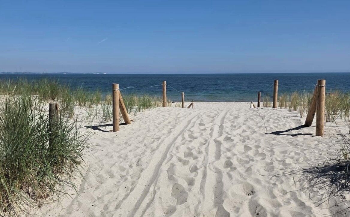 A sandy beach path leading to the ocean with wooden posts and grass on either side.
