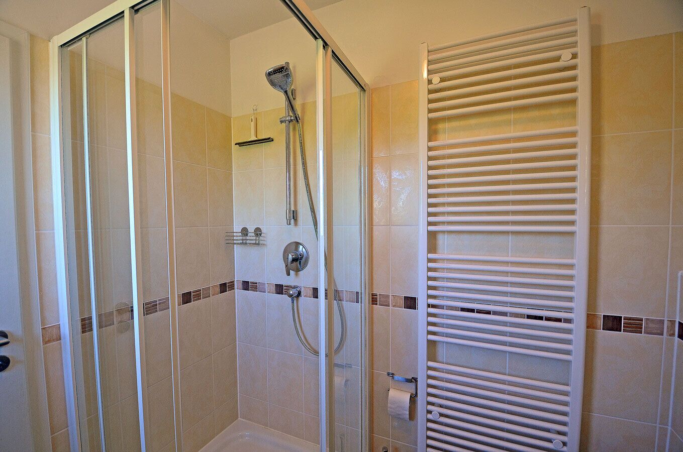 A glass-enclosed shower with a handheld showerhead and a wall-mounted towel rack.