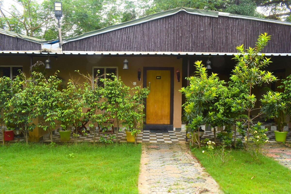 A building with a checkered pathway leading to a wooden door, surrounded by lush greenery and potted plants.