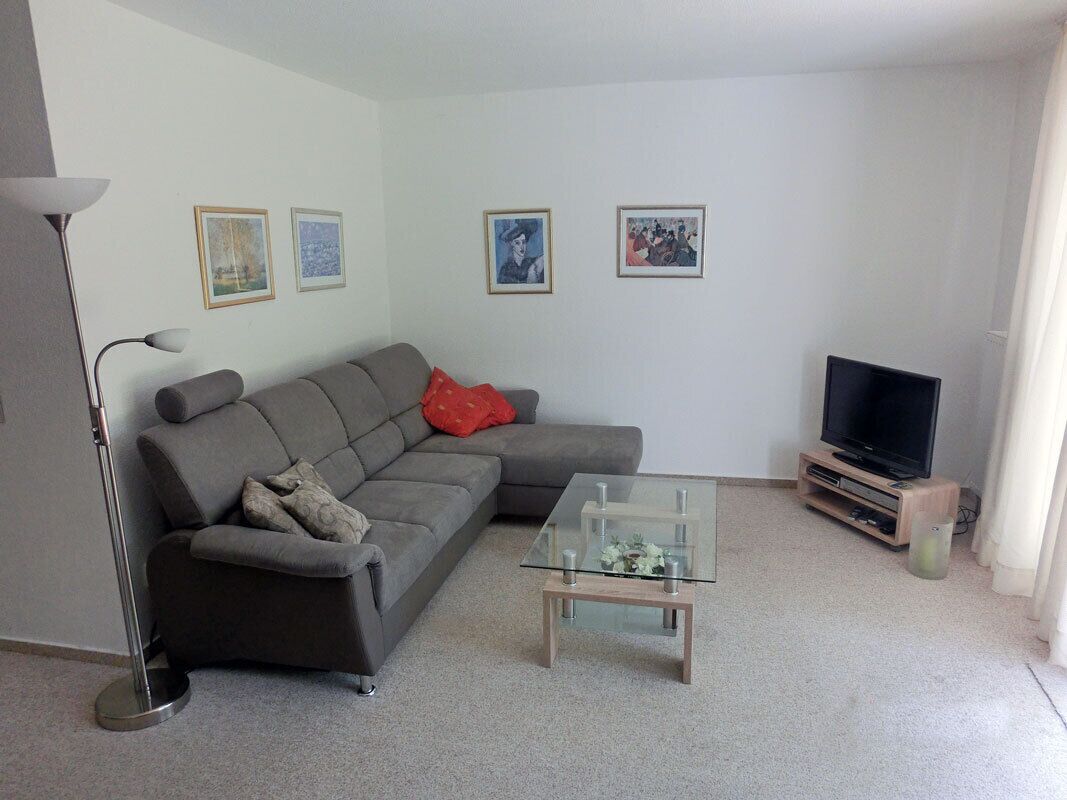 TV, fireplace, books, stereo