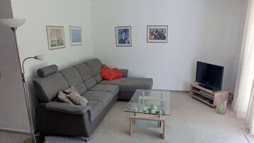 TV, fireplace, books, stereo