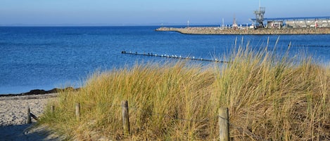 A coastal landscape with a sandy beach, grassy dunes, and a rocky breakwater extending into the sea.