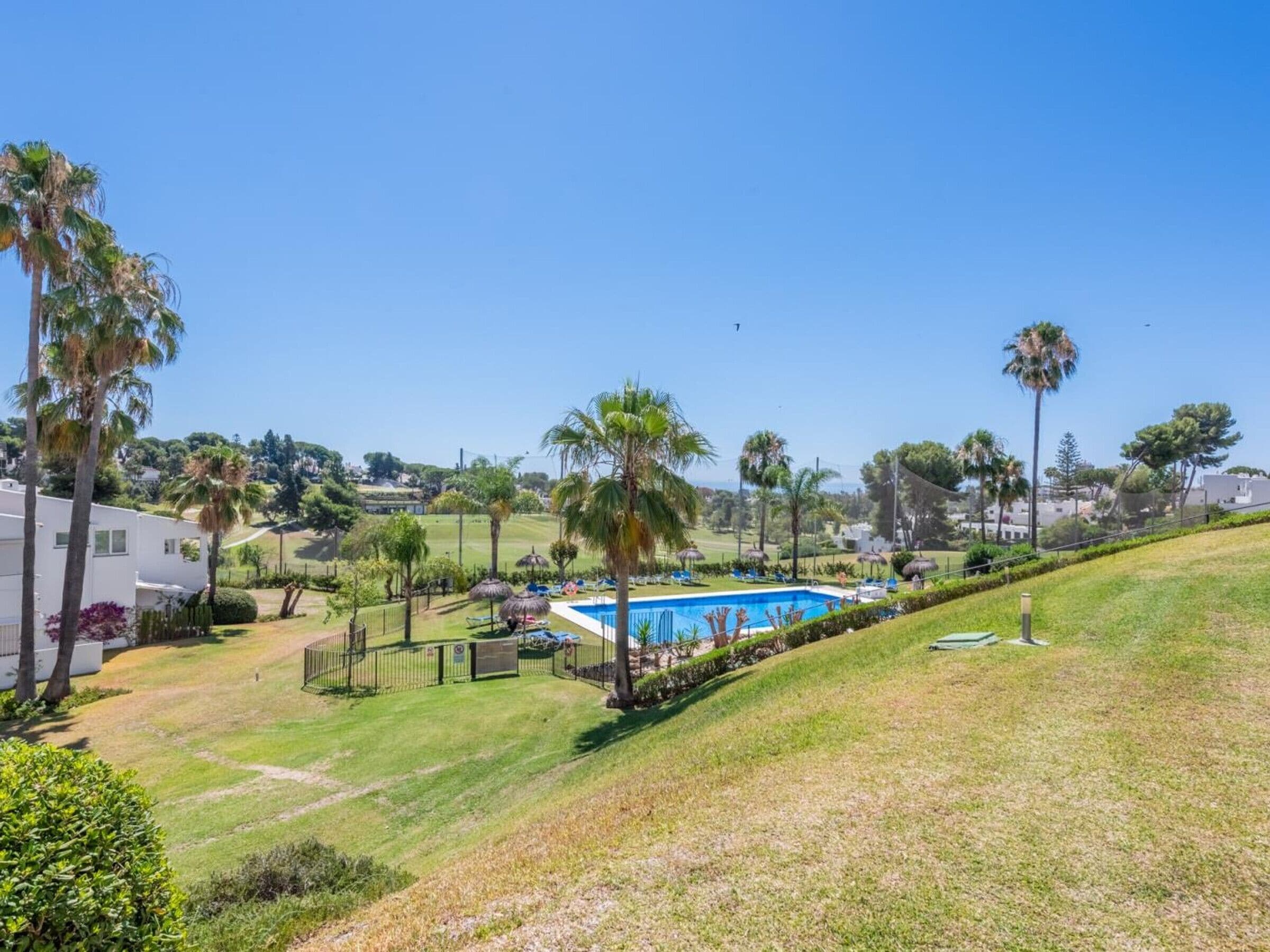 A residential area with a swimming pool, palm trees, and houses in the background.