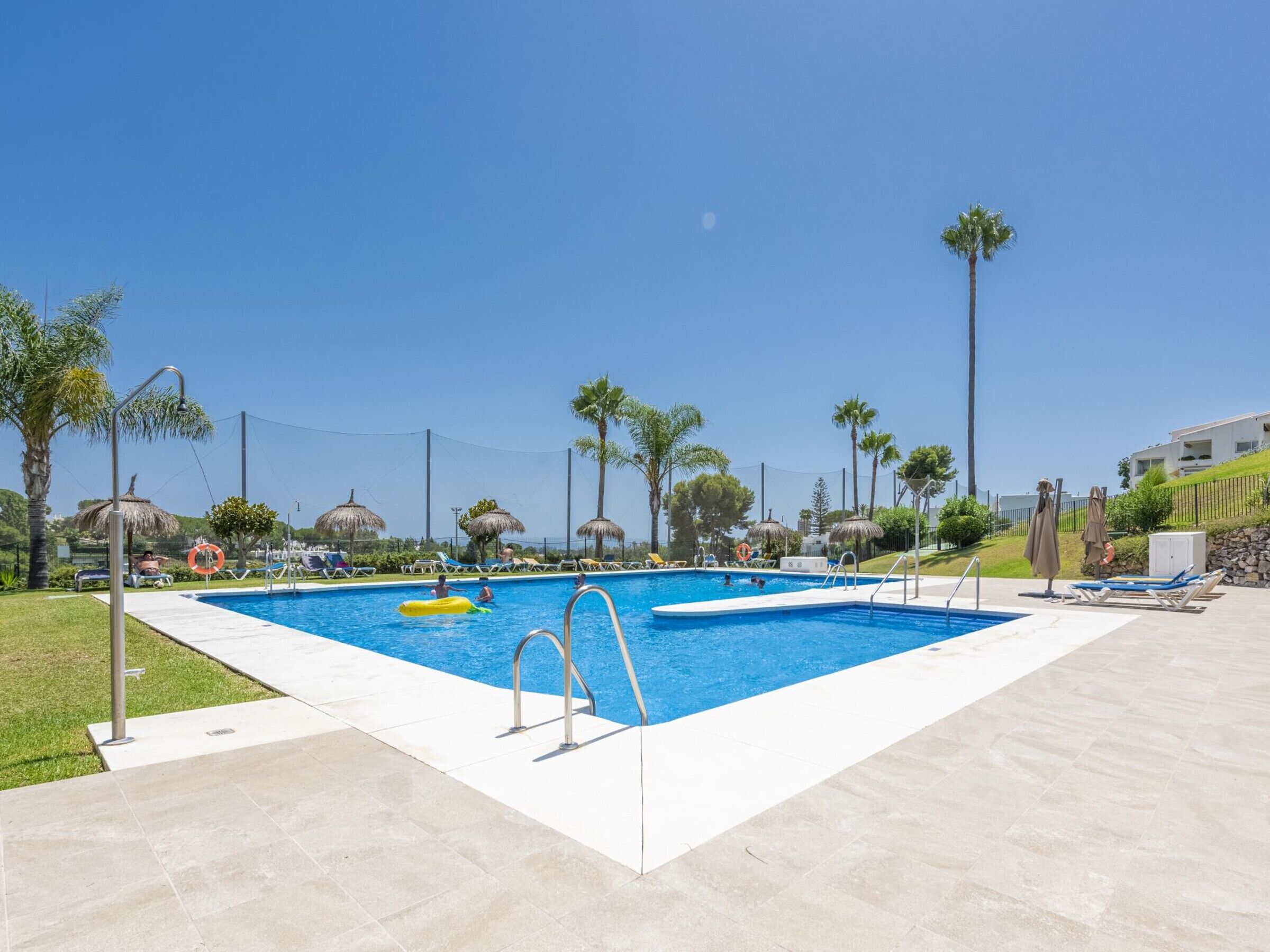 Una piscina con tabla de clavados, rodeada de palmeras y sillas de descanso.