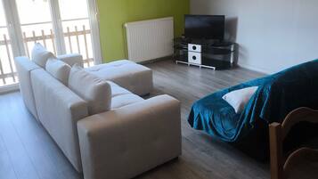 Fernseher