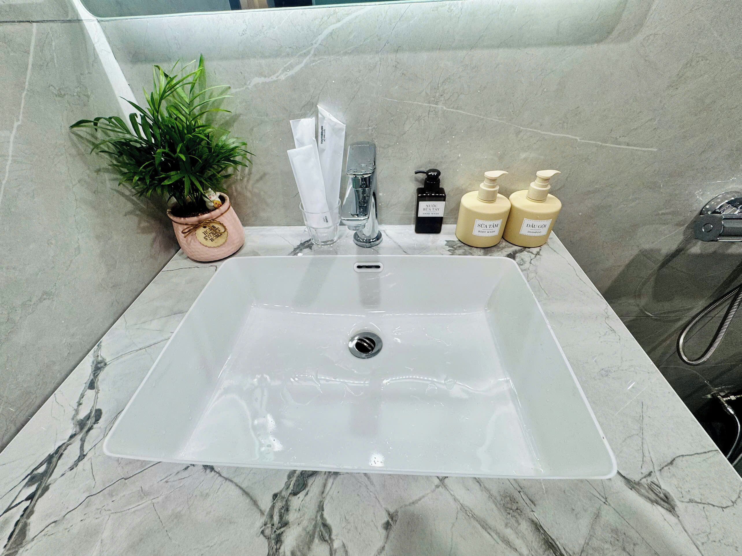 A bathroom with a white sink, a potted plant, and toiletries on the counter.