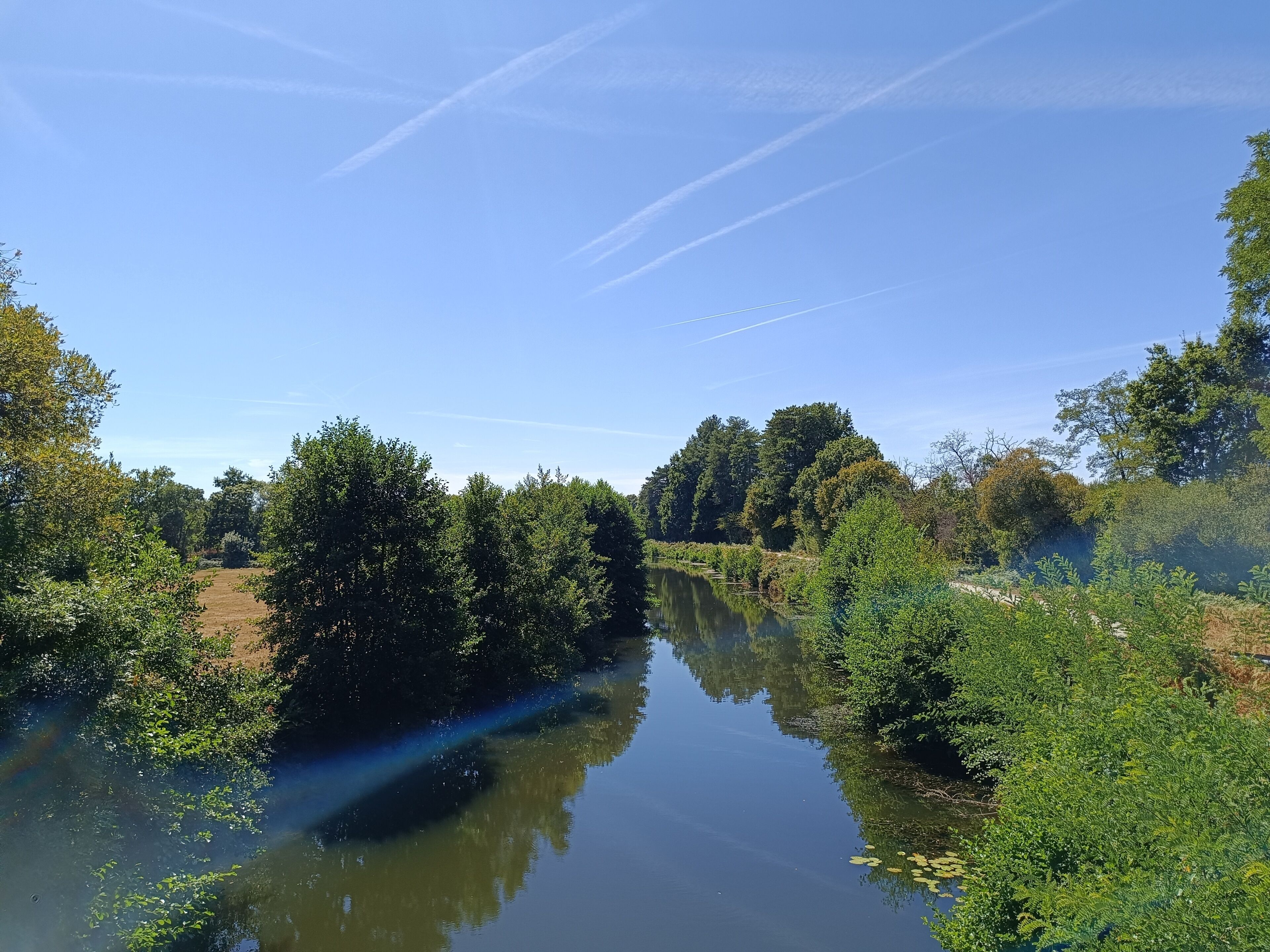 Een rivier omringd door weelderige begroeiing en bomen.