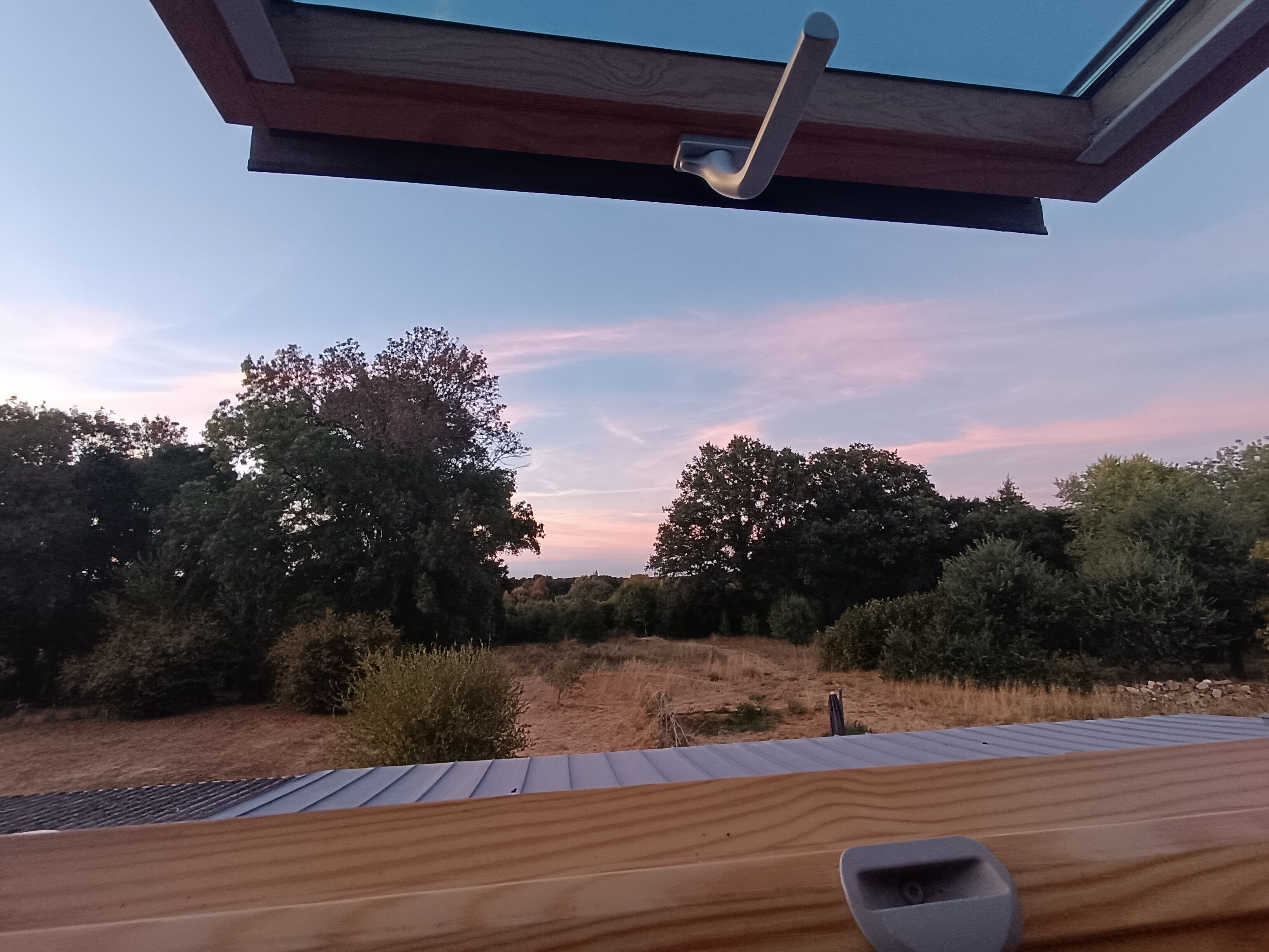 Una terraza de madera con tragaluz, rodeada de arbustos y árboles frondosos.