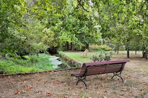 A park with a bench, a small pond, and trees.