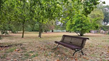 A park with a bench surrounded by trees and a grassy area with fallen leaves.