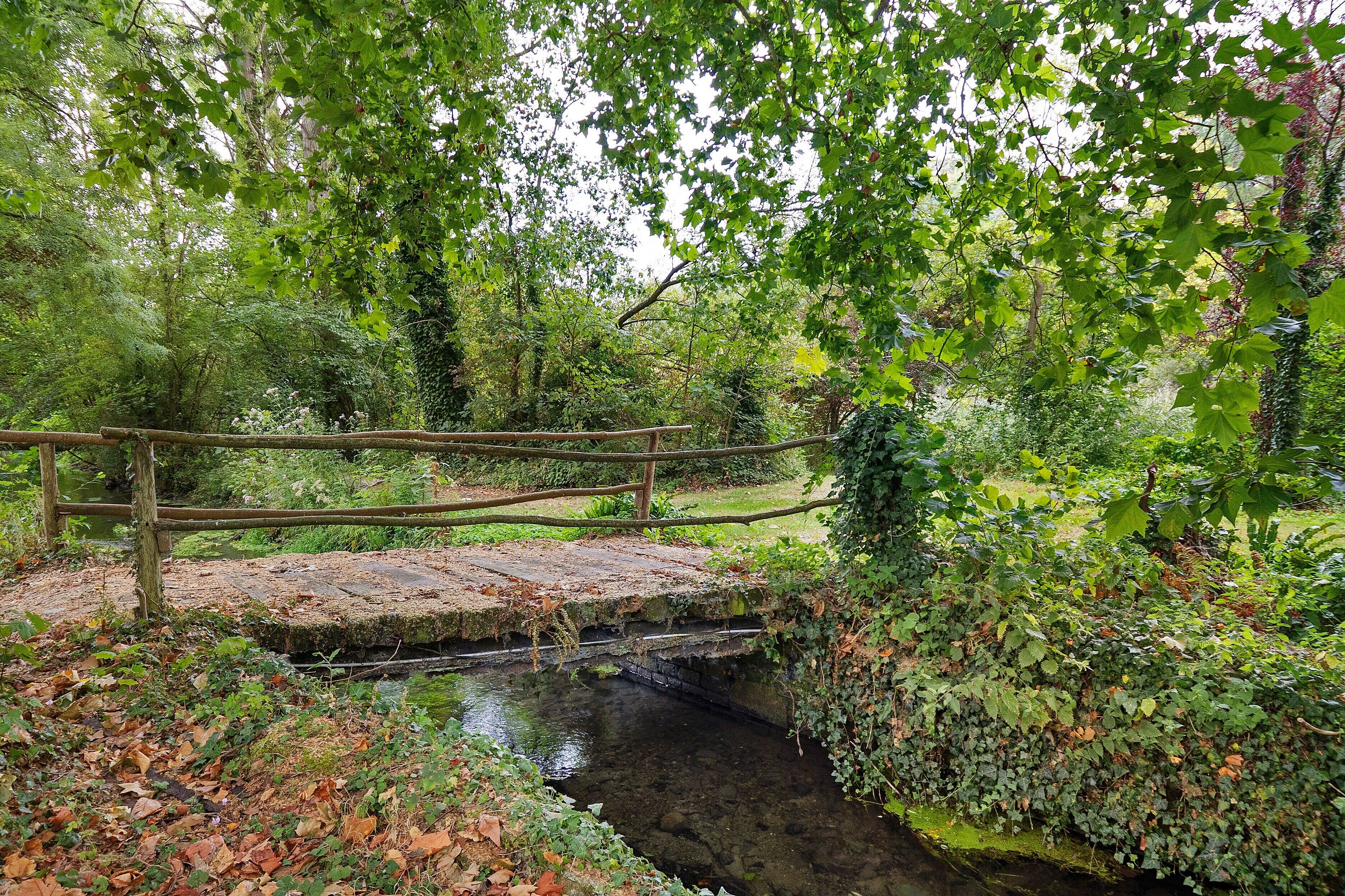Een houten brug over een beekje in een weelderige tuin met dichte begroeiing en diverse planten.