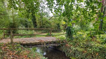 Een houten brug over een beekje in een weelderige tuin met dichte begroeiing en diverse planten.