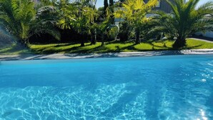 En kristallklar pool omgiven av frodig grönska och palmer.