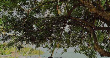 Native Retreats Varkala
