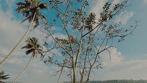 A hammock on grass with a lake and trees in the background. - Native Retreats Varkala (Hariharapuram)