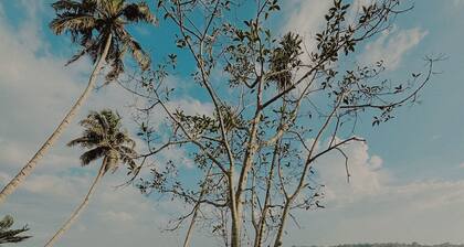 Native Retreats Varkala