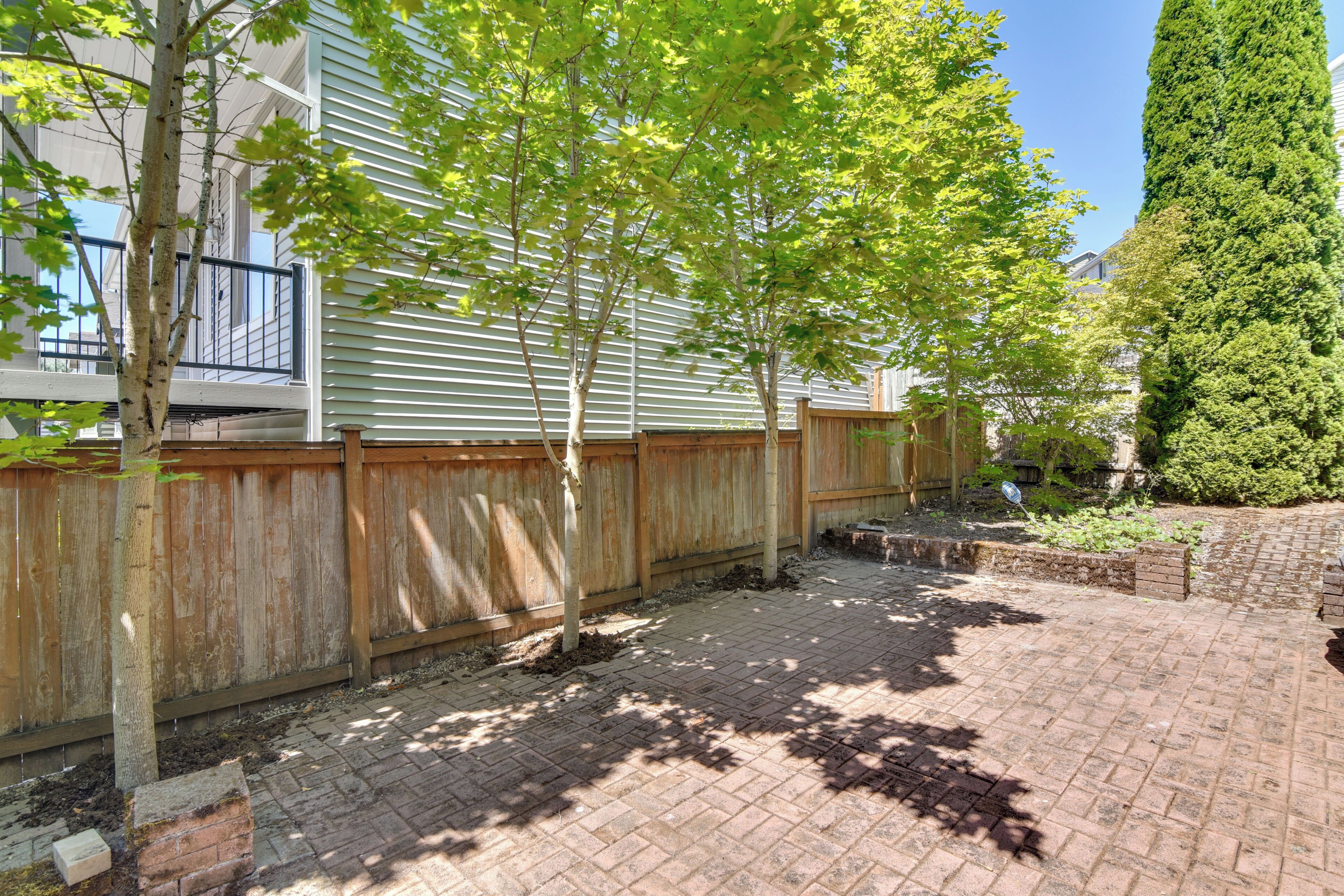 A paved backyard with a wooden fence, a tree, and a tall coniferous tree.