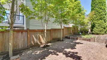 A paved backyard with a wooden fence, a tree, and a tall coniferous tree.
