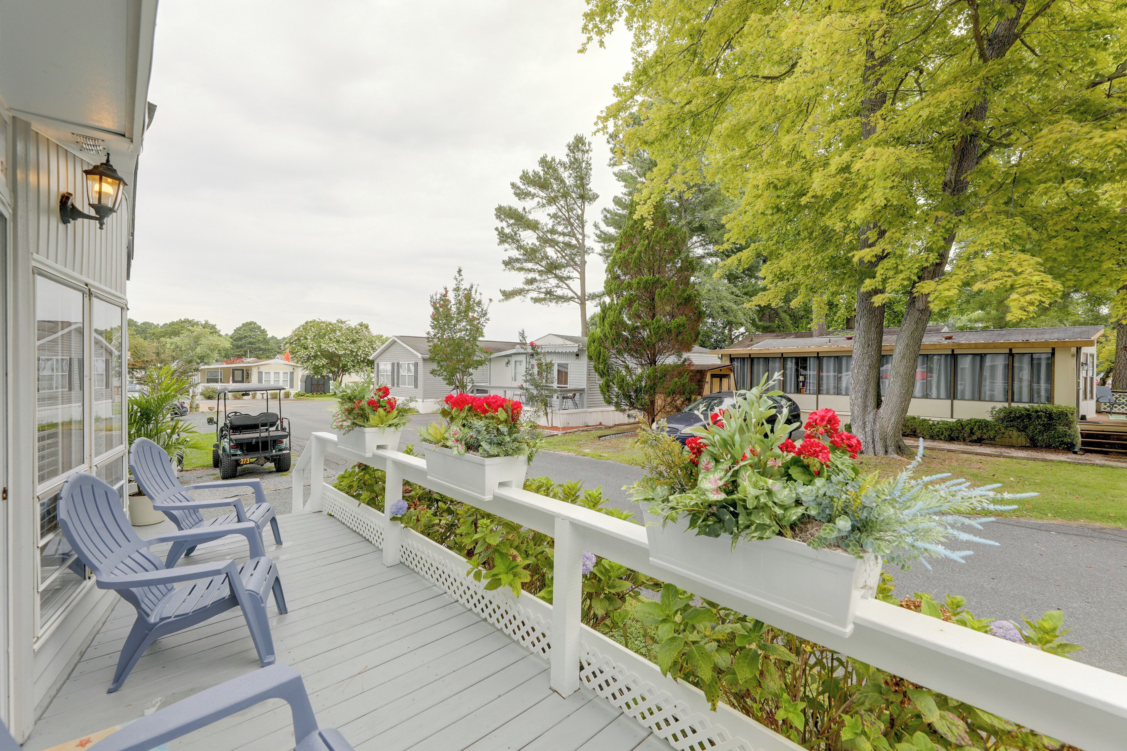 A porch with two chairs and a potted plant.