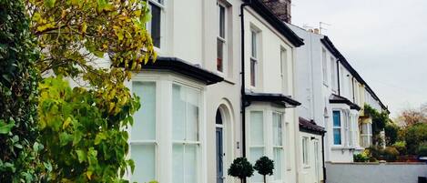 A row of white terraced houses with front gardens and a tree in the foreground.