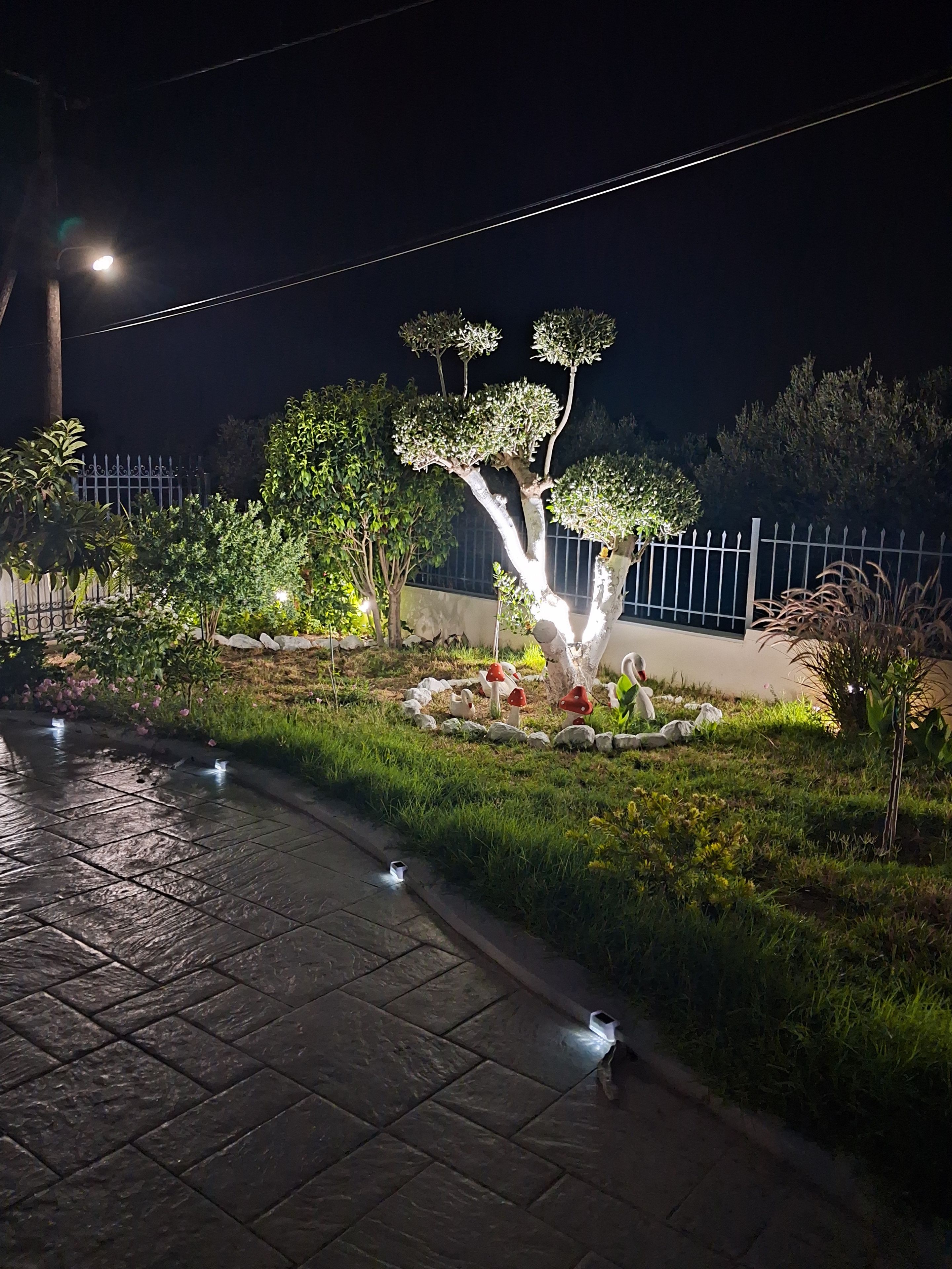A nighttime outdoor area with a paved walkway, a well-lit tree, and a fence.