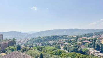 Vista panorâmica de uma cidade com edifícios de telhado em terracota, vegetação densa e colinas ao longe.