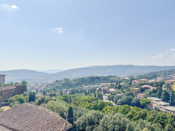 A panoramic view of a town with terracotta-roofed buildings, dense greenery, and distant hills.